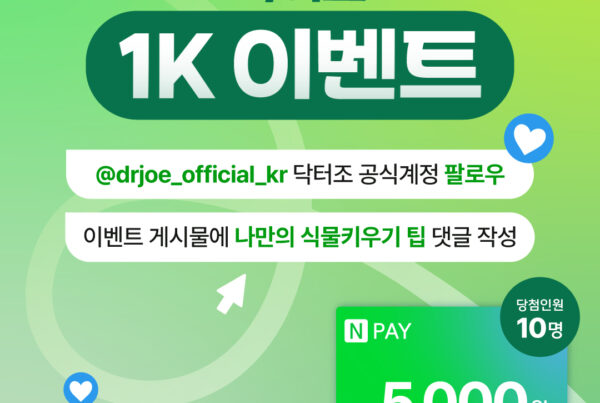 닥터조 1K 이벤트